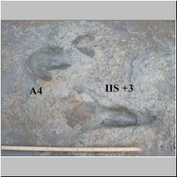 102_7528 (2013-08-19)m-lab.jpg